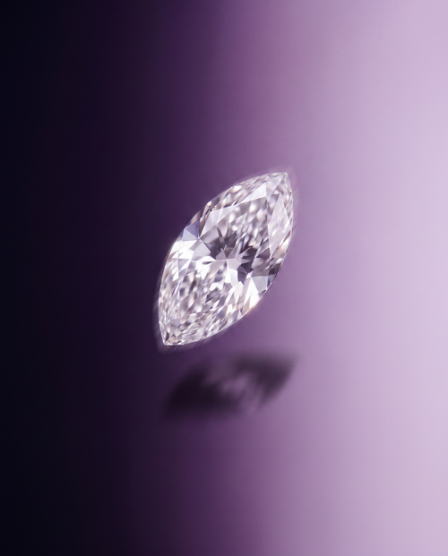 Marquise