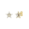 Diamond stud earrings