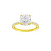 Round-cut diamond engagement ring with a prong-set diamond band and hidden-halo setting.