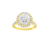 Round-cut diamond engagement ring with a prong-set diamond band and halo setting.