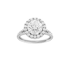 Round-cut diamond engagement ring with a prong-set diamond band and halo setting.