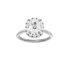 Elongated cushion-cut diamond engagement ring with a pavé-set diamond band and halo setting.