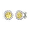 An angled view of a pair of 14K white gold stud earrings, with a with a 2 carat total weight VS+  yellow diamond at the center and a halo of white diamonds, showcasing the full design.