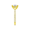 A side view of the Elongated cushion cut diamond engagement ring in 14k yellow gold with a prong diamond band and cathedral setting