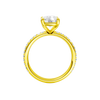 A profile view of the Elongated cushion cut diamond engagement ring in 14k yellow gold with a prong diamond band and cathedral setting