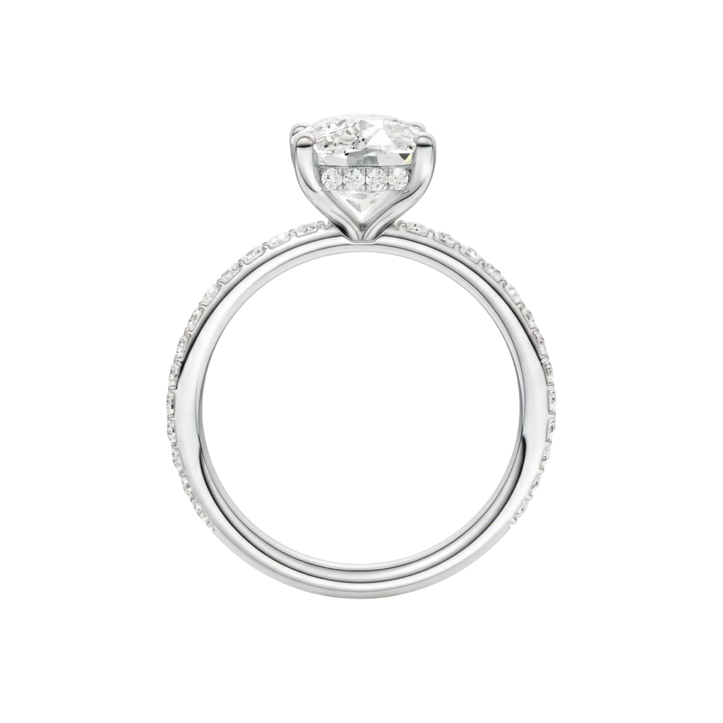 A profile view of the Elongated cushion cut diamond engagement ring in 14k white gold with a prong diamond band and cathedral setting