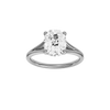 A front view of the Elongated Cushion cut diamond engagement ring in 14k white gold with a plain band and hidden halo setting
