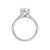 A profile view of the Round cut diamond engagement ring in platinum with a plain band and hidden halo setting
