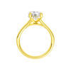 A profile view of the Round cut diamond engagement ring in 14k yellow gold with a plain band and hidden halo setting