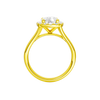 A profile view of the Elongated Cushion cut diamond engagement ring in 14k yellow gold with a plain band and solitaire setting