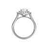 A profile view of the Elongated Cushion cut diamond engagement ring in 14k white gold with a plain band and double halo setting
