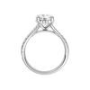 A profile view of the Round cut diamond engagement ring in platinum with a prong band and hidden halo setting