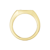 Front view of a 14K yellow gold signet ring with a central round jewel and radiating sunburst detailing.