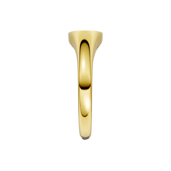 A side-profile view of a 14K yellow gold signet ring, showing the polished band and the elevated pavé surface.
